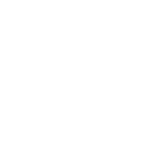 Paradigmastar